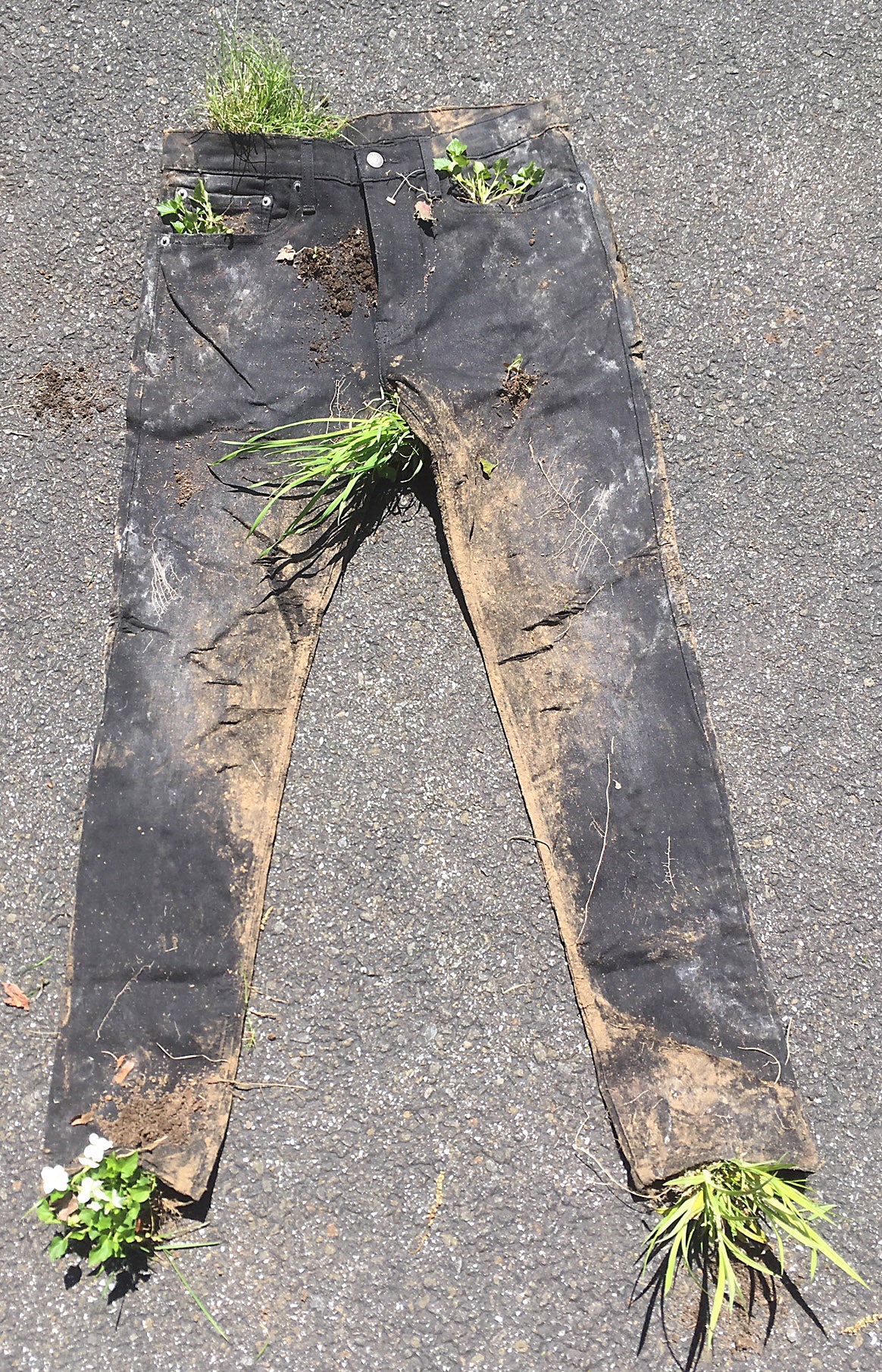 Congratulations: Buried Jeans T-Shirt